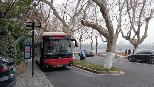 Public-Buses2 Public-Buses2