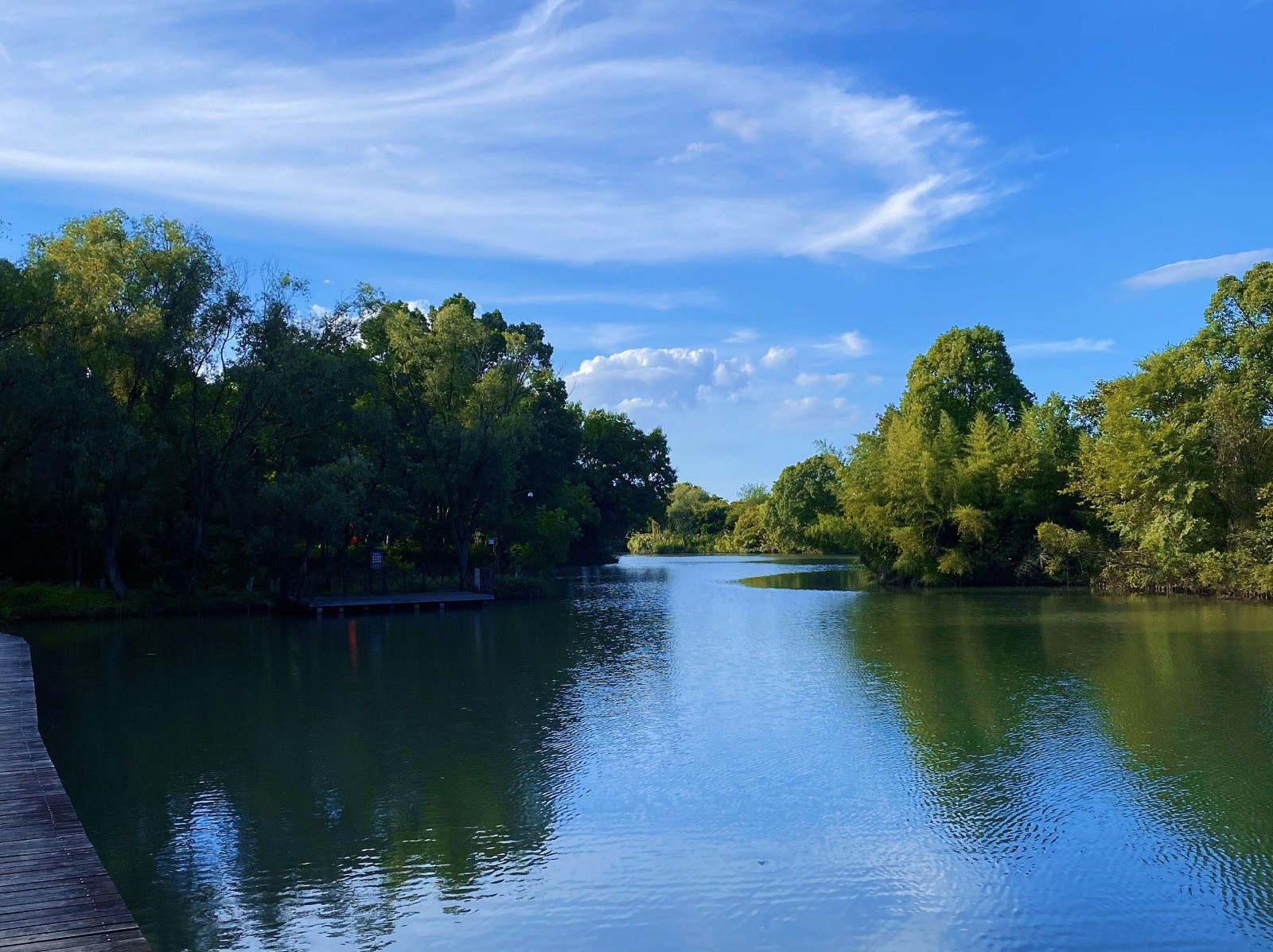 Xixi-Wetland Xixi-Wetland